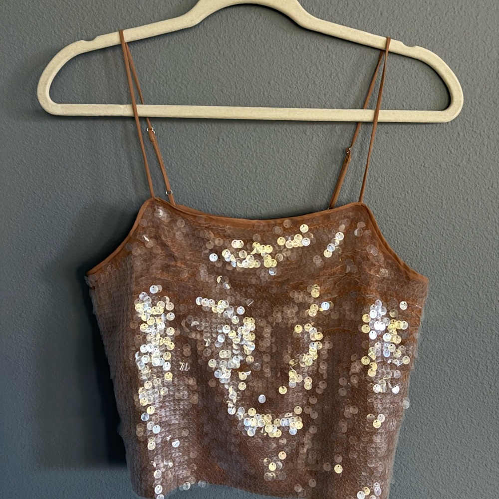Madewell Sequin Embellished Brown Camisole